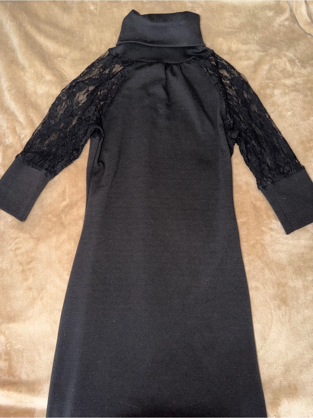 Black Lace Sleeve Turtleneck Dress
